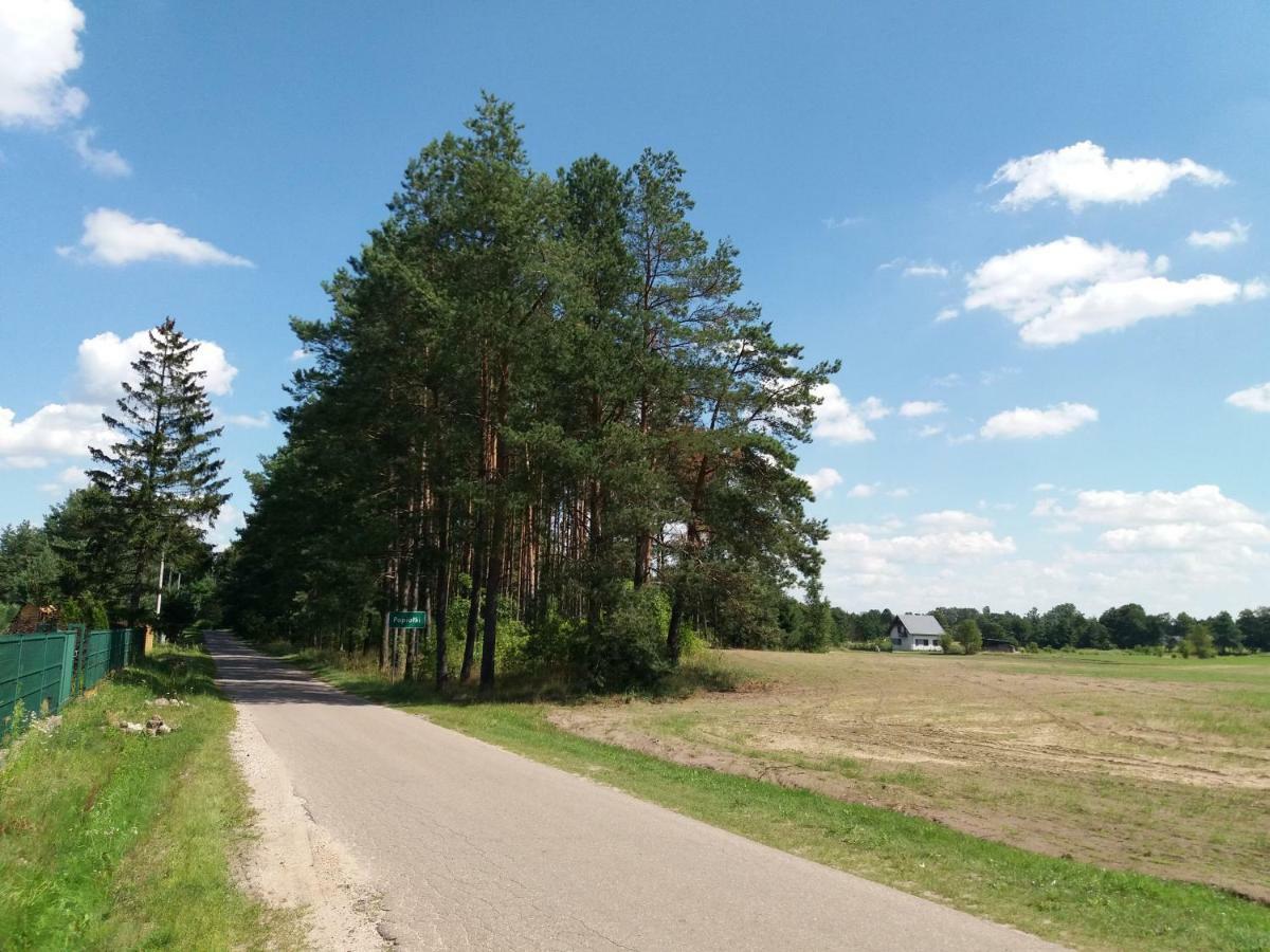 Villa Siedlisko Nasza Chata Popiolki Exterior foto