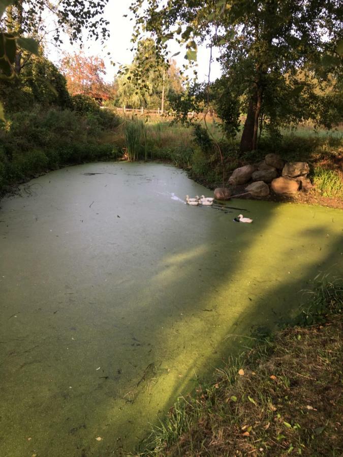 Villa Siedlisko Nasza Chata Popiolki Exterior foto